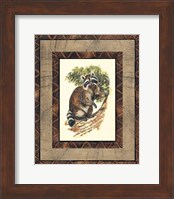 Rustic Raccoon Fine Art Print