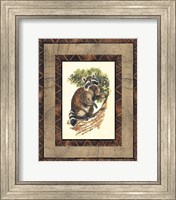 Rustic Raccoon Fine Art Print