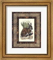 Rustic Rabbit Fine Art Print