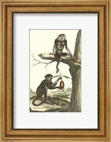 Macaque and Douc Monkeys Fine Art Print