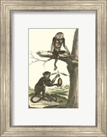Macaque and Douc Monkeys Fine Art Print