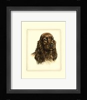 Red Cocker Spaniel Fine Art Print