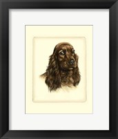 Red Cocker Spaniel Fine Art Print