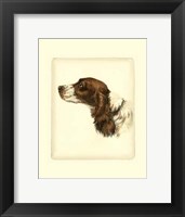 Cocker Spaniel Fine Art Print
