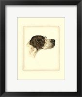 Pointer Fine Art Print