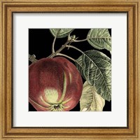 Dramatic Apple Fine Art Print