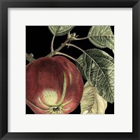 Dramatic Apple Fine Art Print