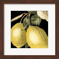 Dramatic Lemon Fine Art Print