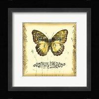 Butterfly and Wildflowers II Framed Print