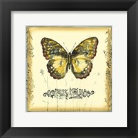Butterfly and Wildflowers II Framed Print