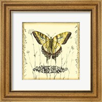 Butterfly and Wildflowers III Fine Art Print