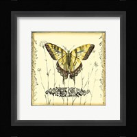 Butterfly and Wildflowers III Framed Print