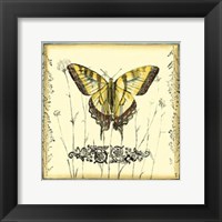 Butterfly and Wildflowers III Framed Print