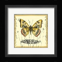 Butterfly and Wildflowers IV Framed Print