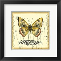 Butterfly and Wildflowers IV Fine Art Print