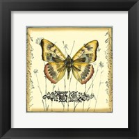 Butterfly and Wildflowers IV Framed Print