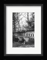 Garden Grace III Fine Art Print