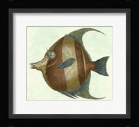 Angel Fish II Fine Art Print