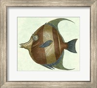 Angel Fish II Fine Art Print