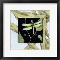 Dragonfly Inset III Fine Art Print
