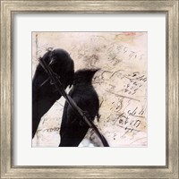 What Crows Reveal II Fine Art Print