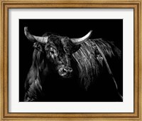 Brindle Rodeo Bull Fine Art Print