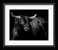 Brindle Rodeo Bull Fine Art Print