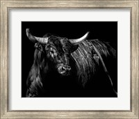 Brindle Rodeo Bull Fine Art Print