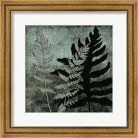Illuminated Ferns I Fine Art Print