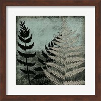 Illuminated Ferns V Fine Art Print