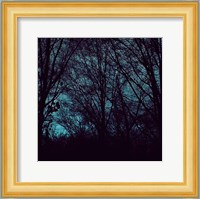 Nocturne III Fine Art Print