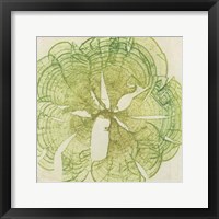 Brilliant Seaweed VIII Fine Art Print