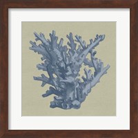 Chambray Coral I Fine Art Print