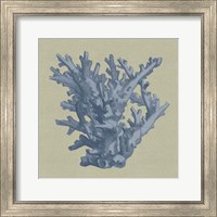 Chambray Coral I Fine Art Print
