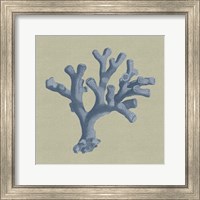 Chambray Coral II Fine Art Print