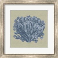 Chambray Coral III Fine Art Print