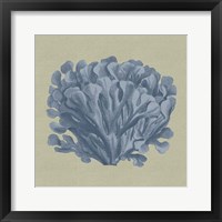 Chambray Coral III Fine Art Print