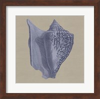 Chambray Shells I Fine Art Print