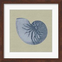 Chambray Shells II Fine Art Print