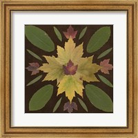 Kaleidoscope Leaves IV Fine Art Print
