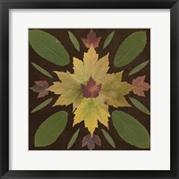 Kaleidoscope Leaves IV Fine Art Print