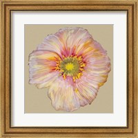 Poppy Blossom I Fine Art Print