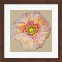 Poppy Blossom I Fine Art Print