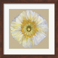 Poppy Blossom II Fine Art Print