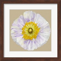 Poppy Blossom IV Fine Art Print
