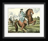 Equestrian Training III Fine Art Print