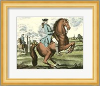Equestrian Training III Fine Art Print