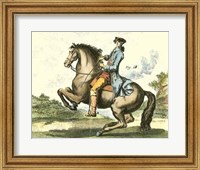 Equestrian Training IV Fine Art Print