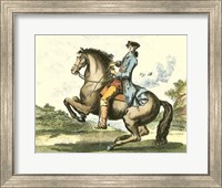 Equestrian Training IV Fine Art Print