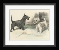 Two Scotties Fine Art Print